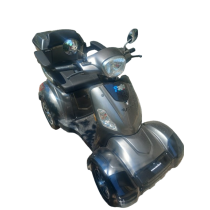 Scooter elettrico XL4 Easy Esulky - Usato