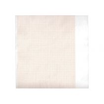 Rotolo Carta Termica Ecg - 210 Mm X 20 M - Griglia Arancione