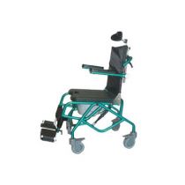 Sedia Basculante da Doccia e Comodo in Acciaio Inox Verde