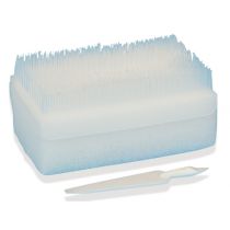 Core-Scrub D Spazzola/spugna per pulizia mani, con pulisci unghie - Sterili